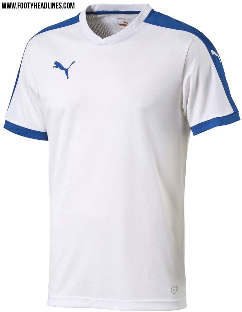 Puma trikot pitch sales